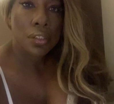 busty blk trans hosting